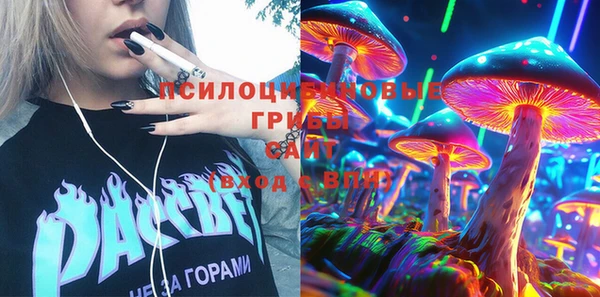 соль ск Алексеевка