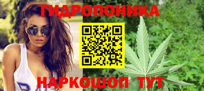 гидропоника Пыть-Ях