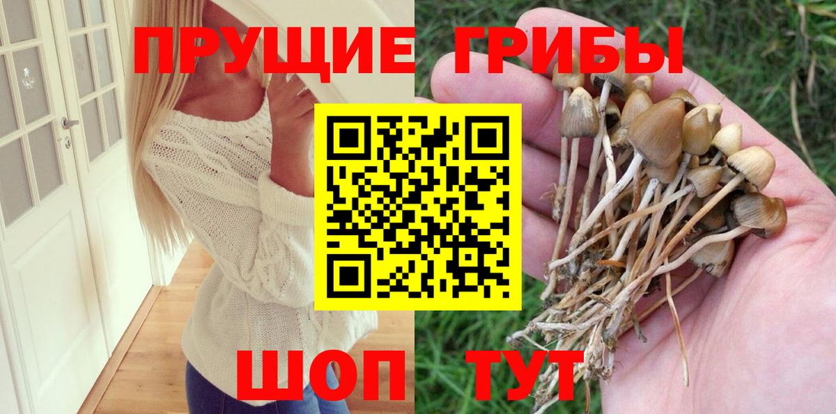 Галлюциногенные грибы Magic Shrooms  Вход с VPN  Саянск 