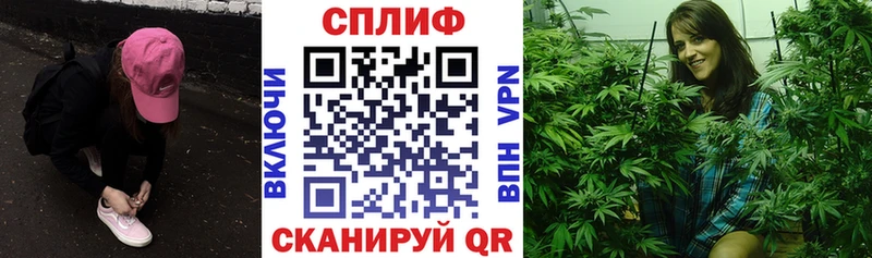 Канабис сатива закладка Саянск